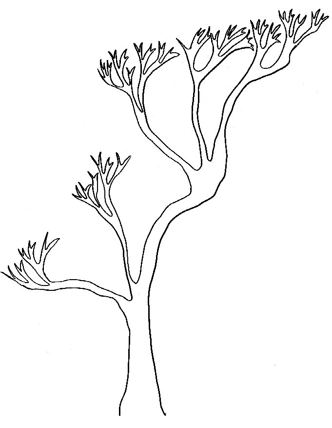 Coloriage d'un arbre majestueux avec des détails naturels