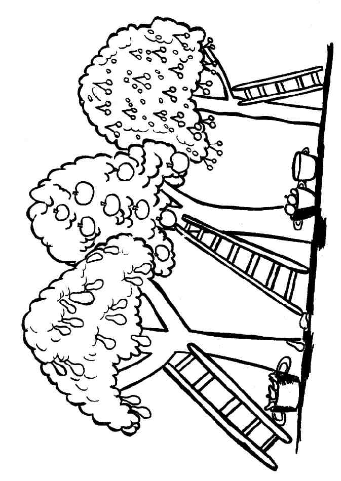 Coloriage d'un grand arbre avec des branches et des feuilles variées