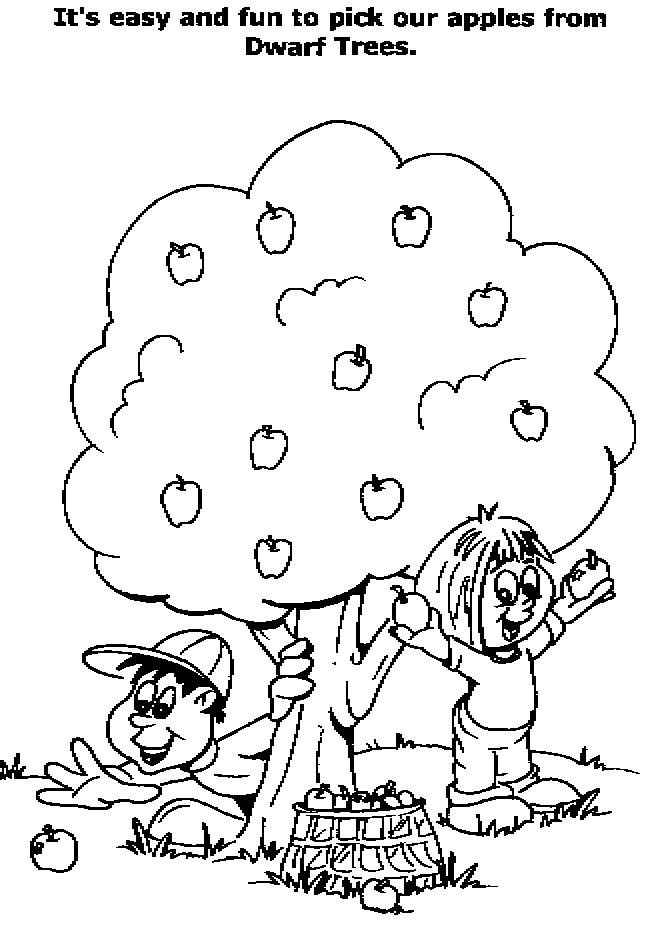 Coloriage d'un arbre avec son feuillage et son tronc solide
