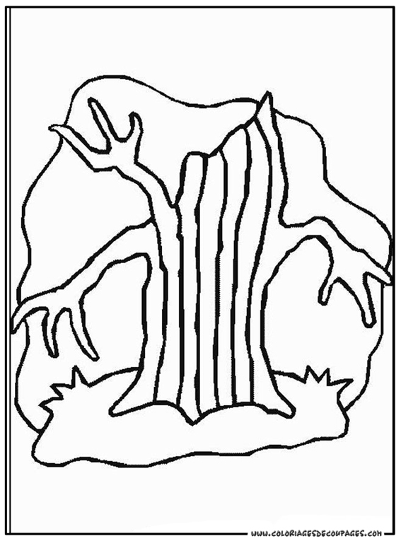 Coloriage d'un arbre majestueux sous un ciel dégagé