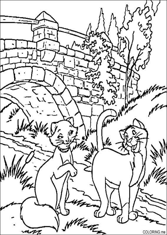 Les Aristochats en pleine escapade sur un chemin ensoleillé