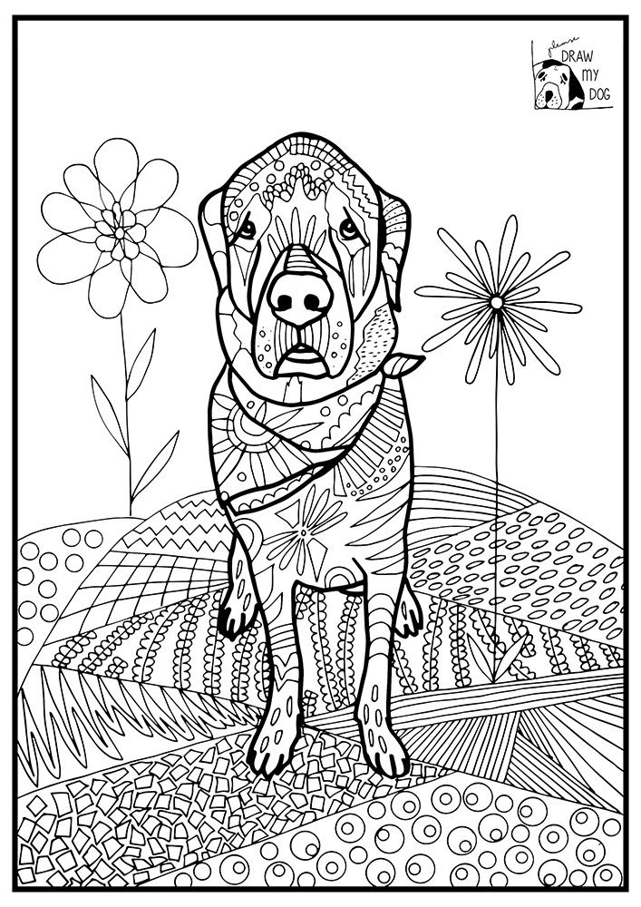 Coloriage d'un mandala floral complexe avec motifs géométriques Coloriage d'un mandala floral complexe avec motifs géométriques