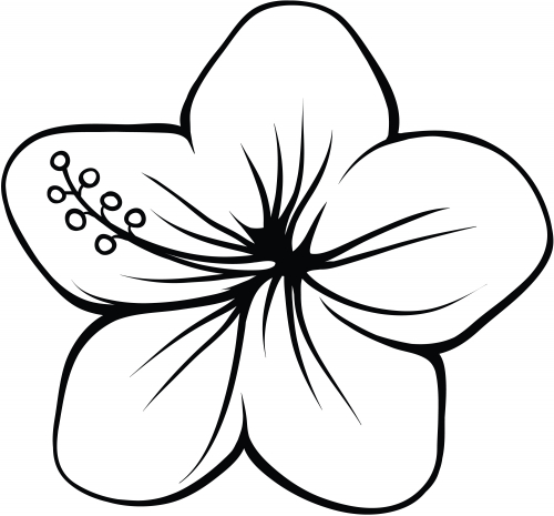 Coloriage d'une scène florale avec motifs géométriques Coloriage d'une scène florale avec motifs géométriques