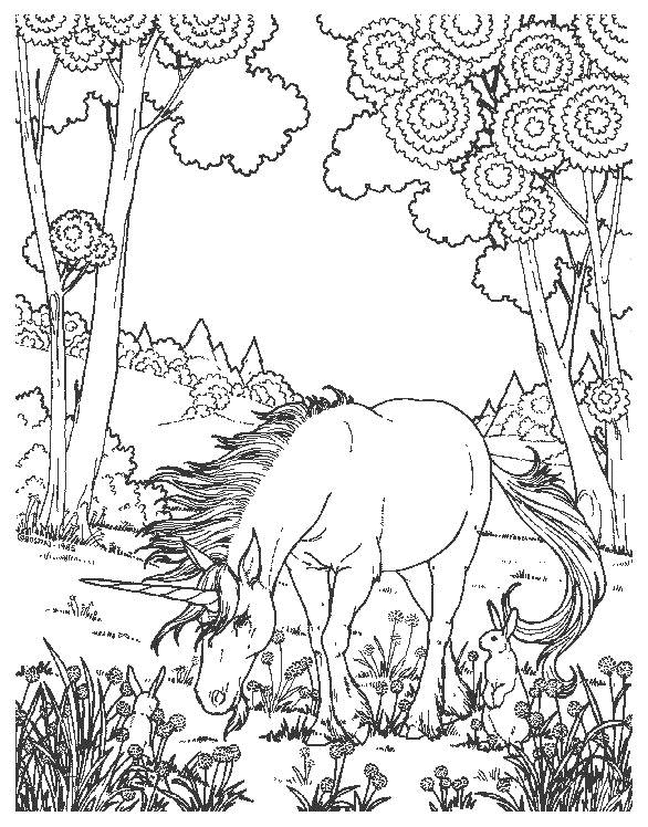 Coloriage d'un mandala floral complexe entouré de motifs géométriques Coloriage d'un mandala floral complexe entouré de motifs géométriques