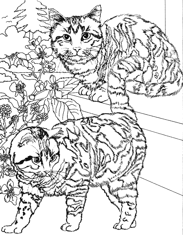 Coloriage d'une scène florale avec motifs géométriques en arrière-plan Coloriage d'une scène florale avec motifs géométriques en arrière-plan