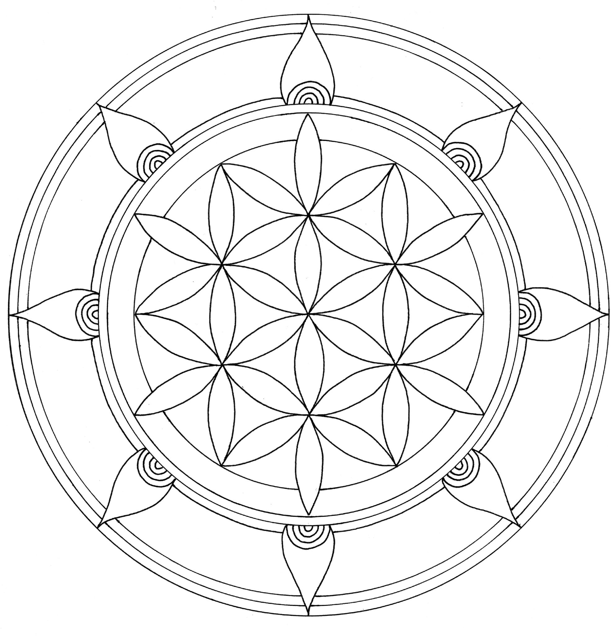 Coloriage d'un motif floral complexe avec des éléments géométriques Coloriage d'un motif floral complexe avec des éléments géométriques