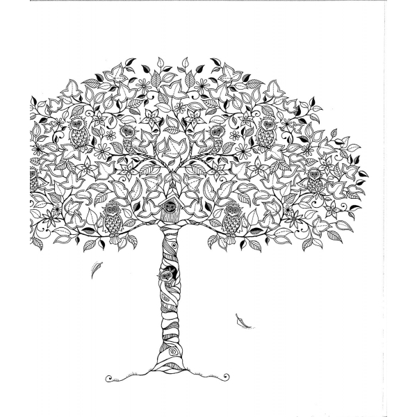 Coloriage d’un mandala floral complexe avec motifs géométriques Coloriage d’un mandala floral complexe avec motifs géométriques