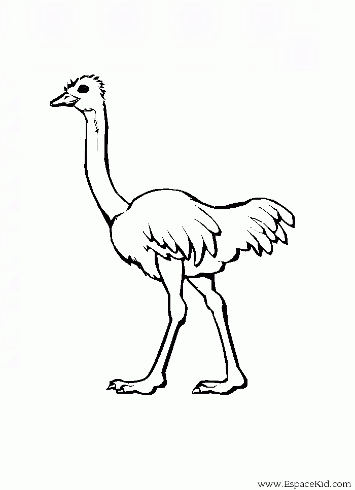 Un coloriage d'autruche dans son habitat naturel