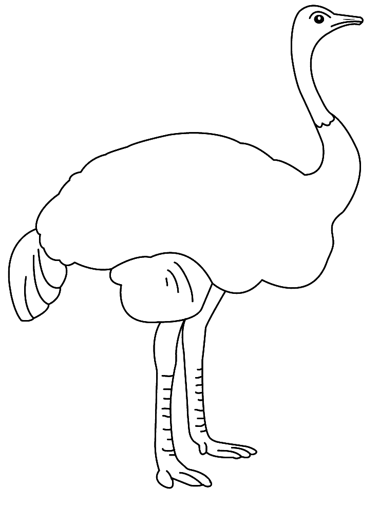 Un coloriage d'autruche dans un environnement naturel