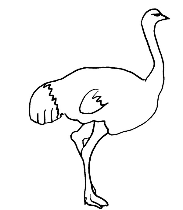 Un coloriage d'autruche dans un environnement naturel