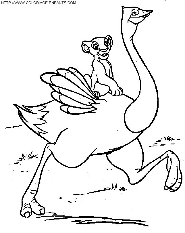 Coloriage d'une autruche en pleine marche sur un fond de nature
