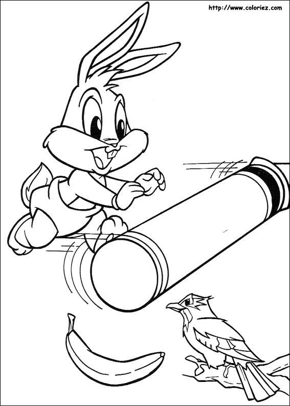 Baby Looney Tunes en pleine aventure joyeuse