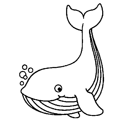 Coloriage d'une baleine nageant dans l'océan