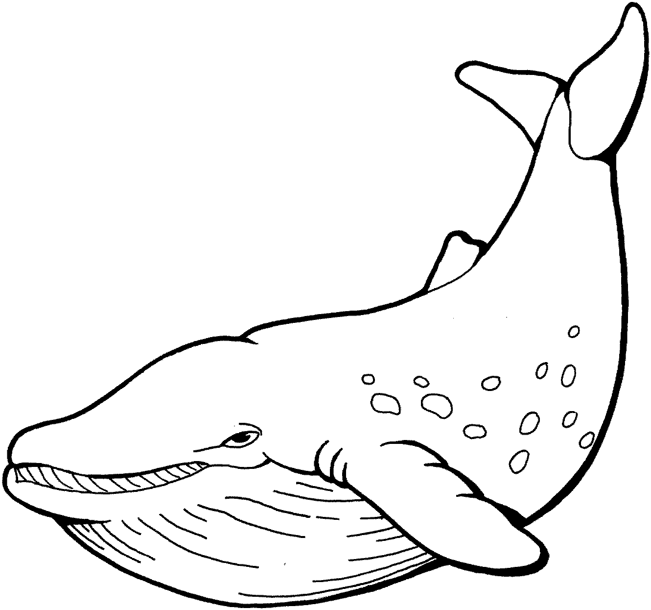 Coloriage d'une baleine nageant dans l'océan
