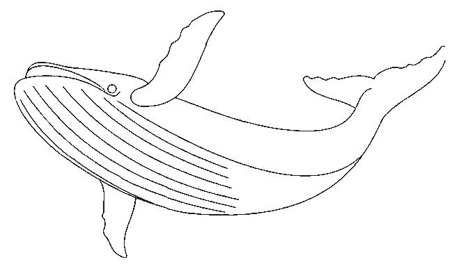 Coloriage d'une baleine nageant sous l'eau