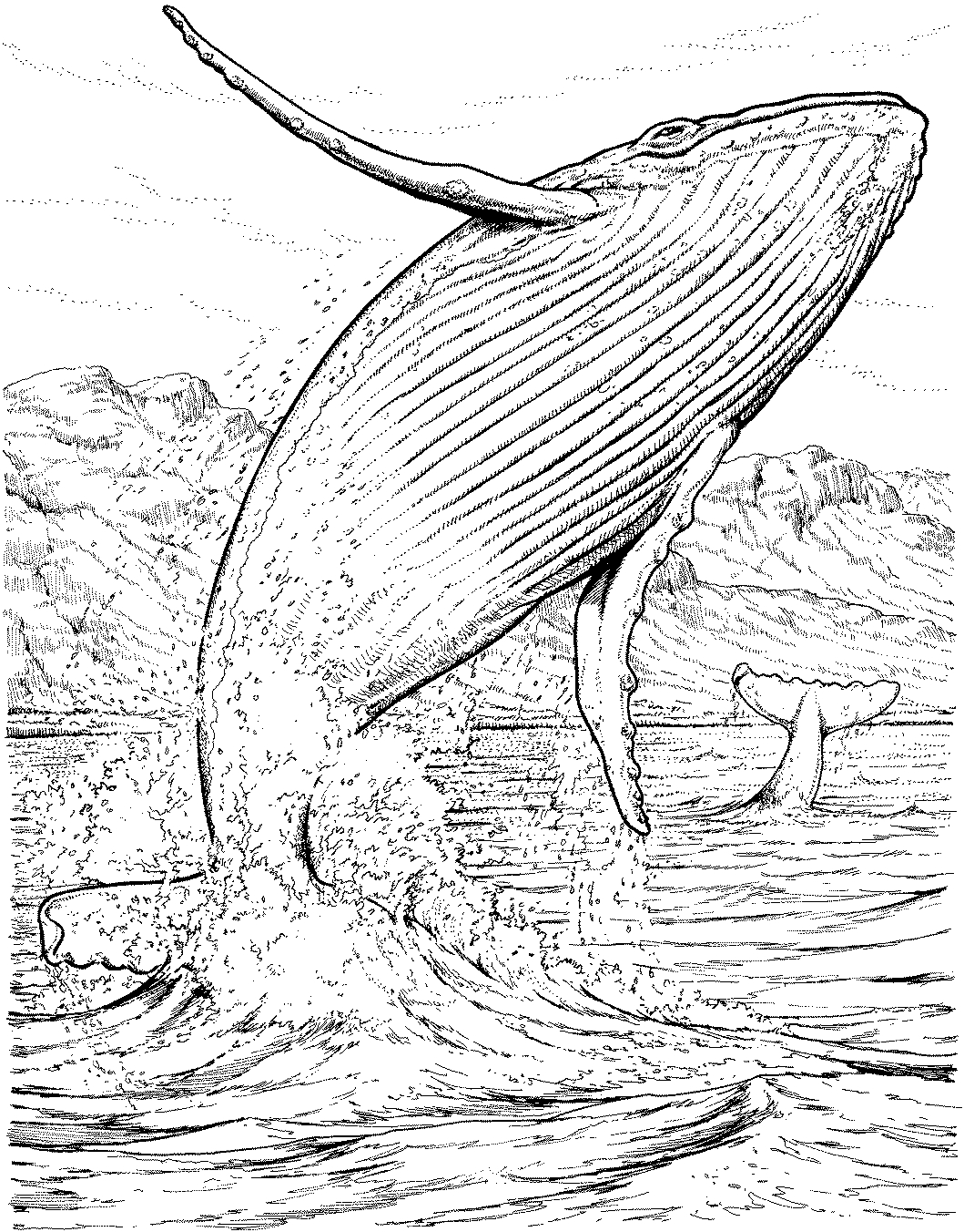 Coloriage d'une baleine nageant dans l'océan