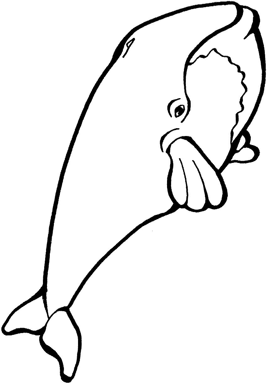 Coloriage d'une baleine nageant dans l'océan