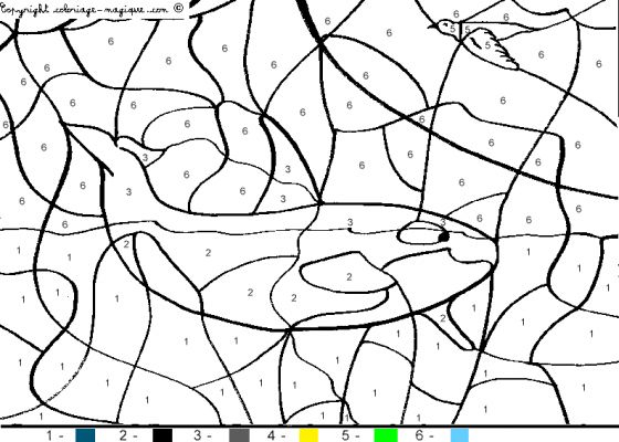 Coloriage d'une baleine nageant paisiblement dans l'océan