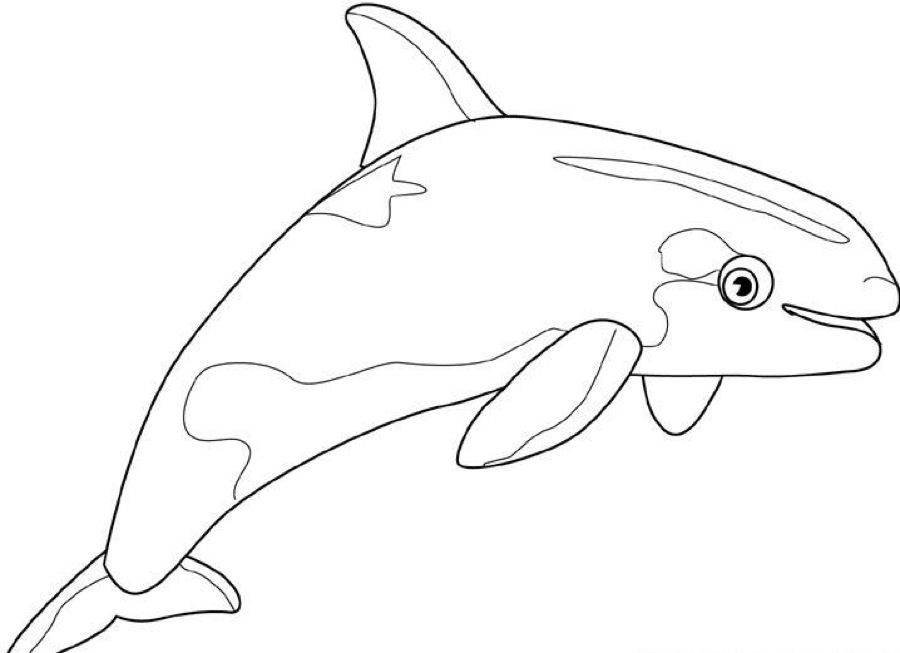 Coloriage d'une baleine nageant dans les vagues