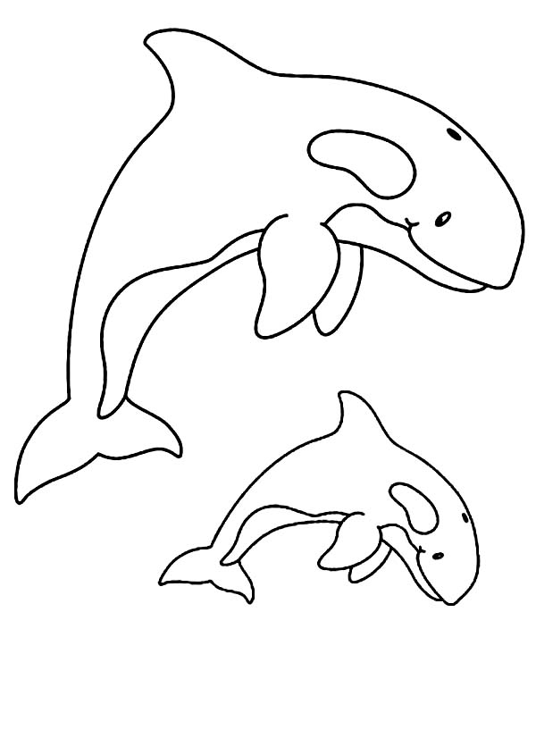 Coloriage d'une baleine nageant dans l'océan