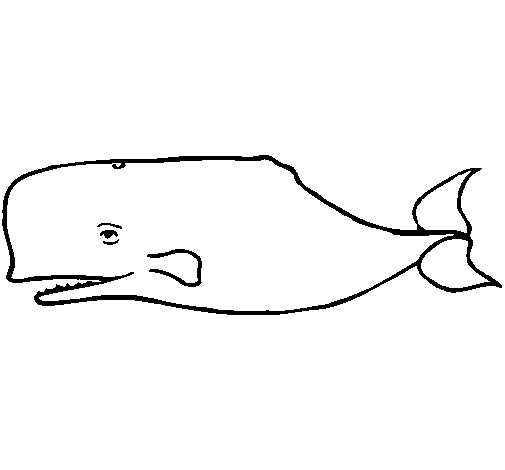 Coloriage d'une baleine nageant dans l'océan