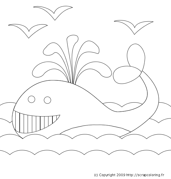 Coloriage d'une baleine nageant dans l'océan