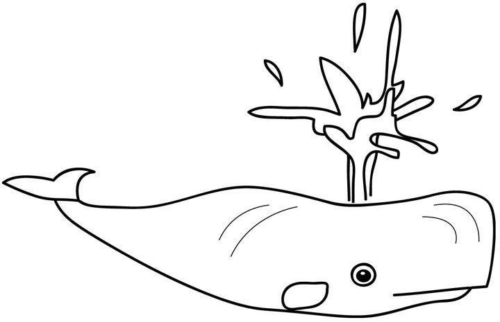 Coloriage d'une baleine nageant dans l'océan