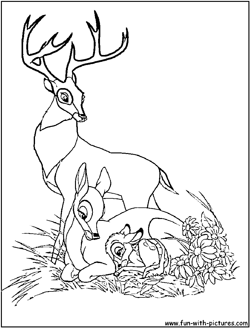 Bambi et ses amis dans la forêt en pleine exploration