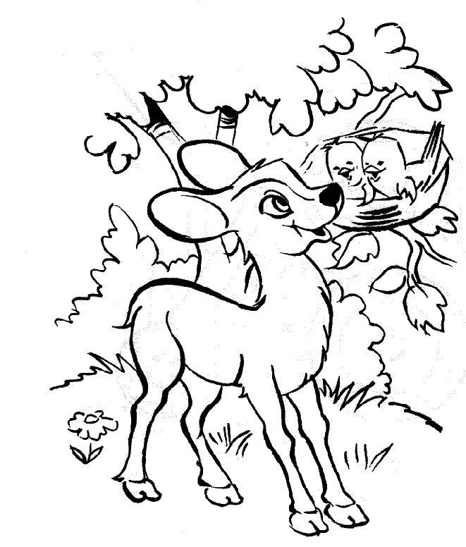 Coloriage de Bambi se reposant dans la forêt