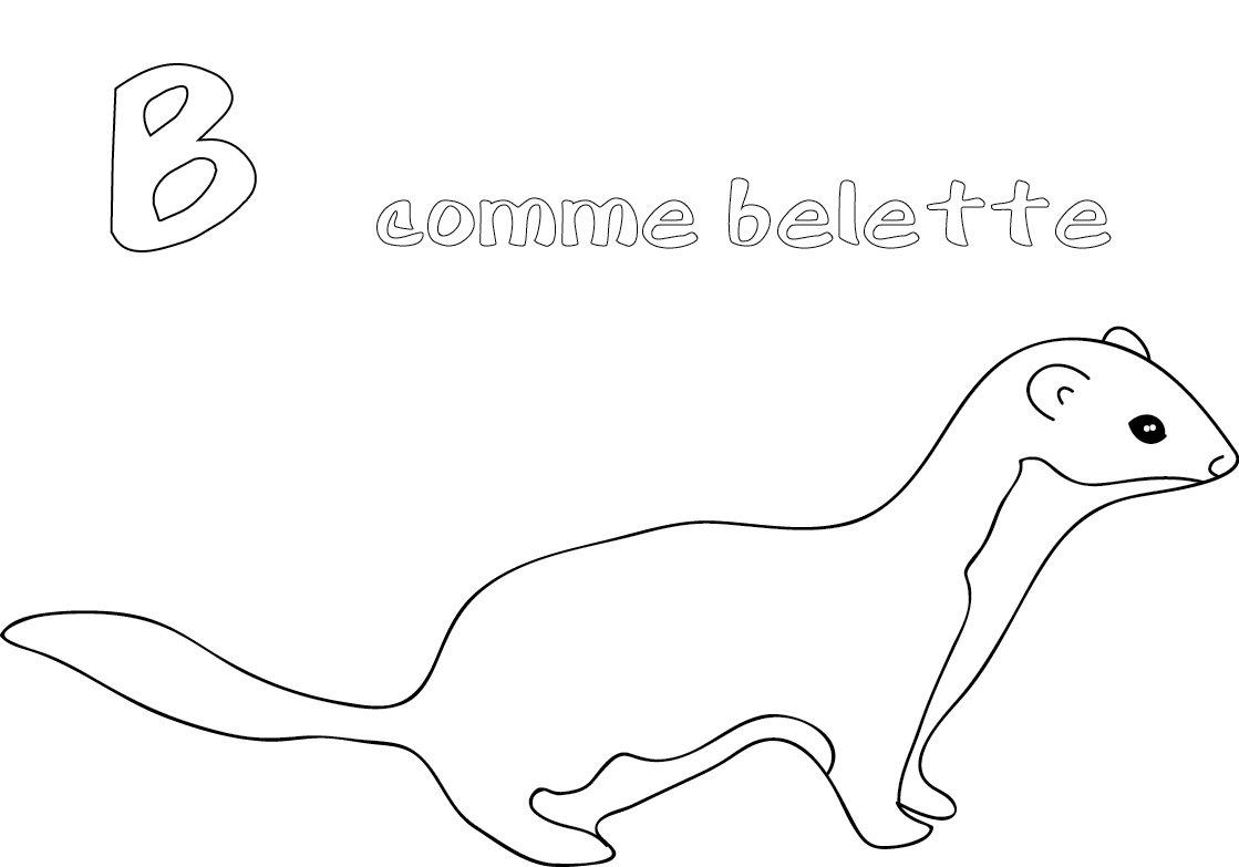 Une belette curieuse explorant son environnement naturel