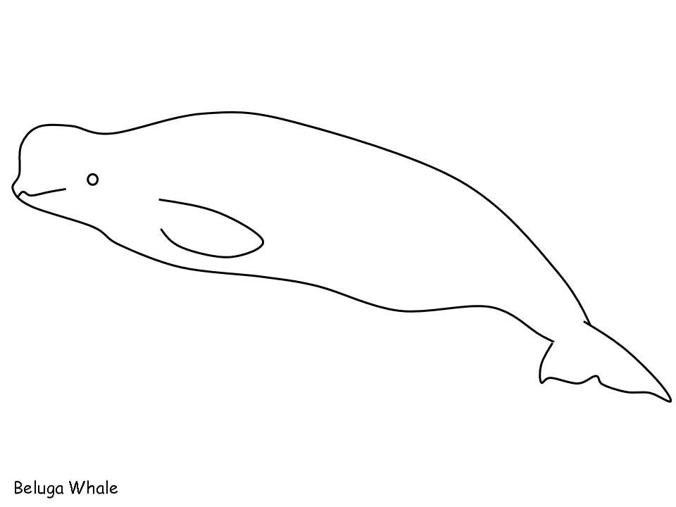 Beluga nageant dans un océan stylisé