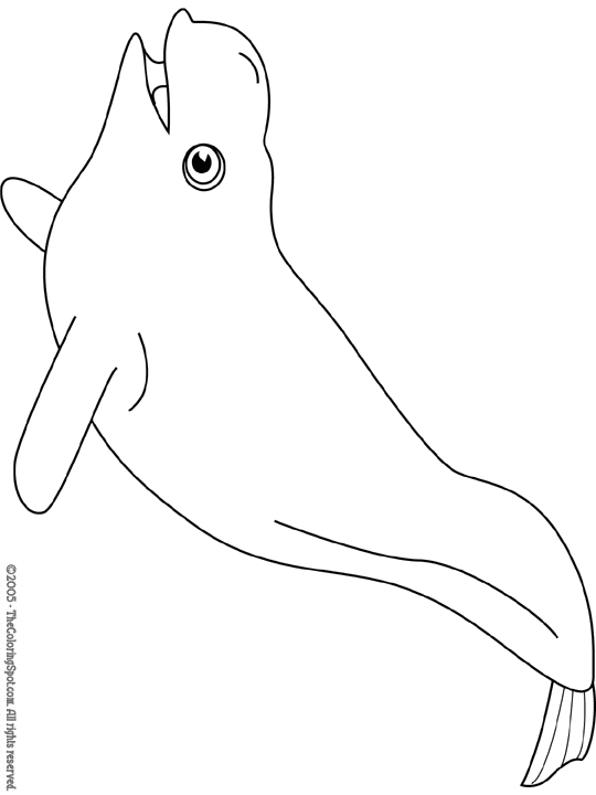 Beluga nageant dans l'océan avec des bulles