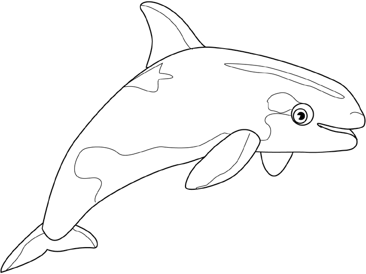 Beluga nageant dans l'océan avec des vagues stylisées