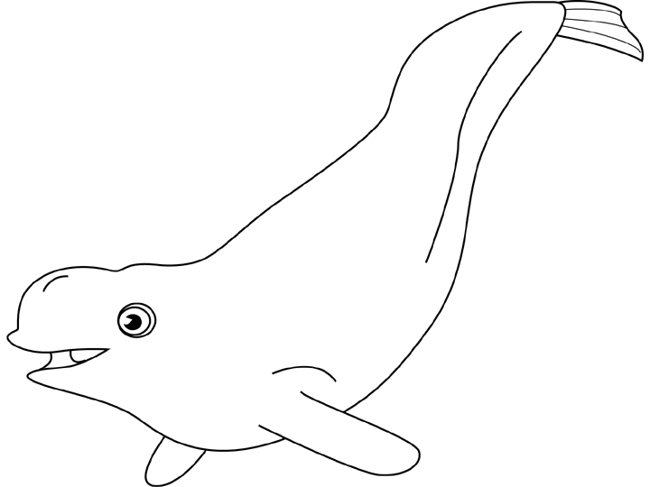 Beluga nageant dans l'océan sous un ciel serein