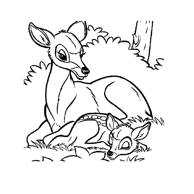 Un coloriage de biche paisible dans la forêt