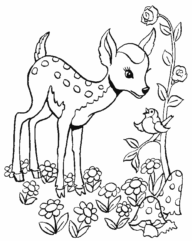 Coloriage d'une biche paisible dans la forêt