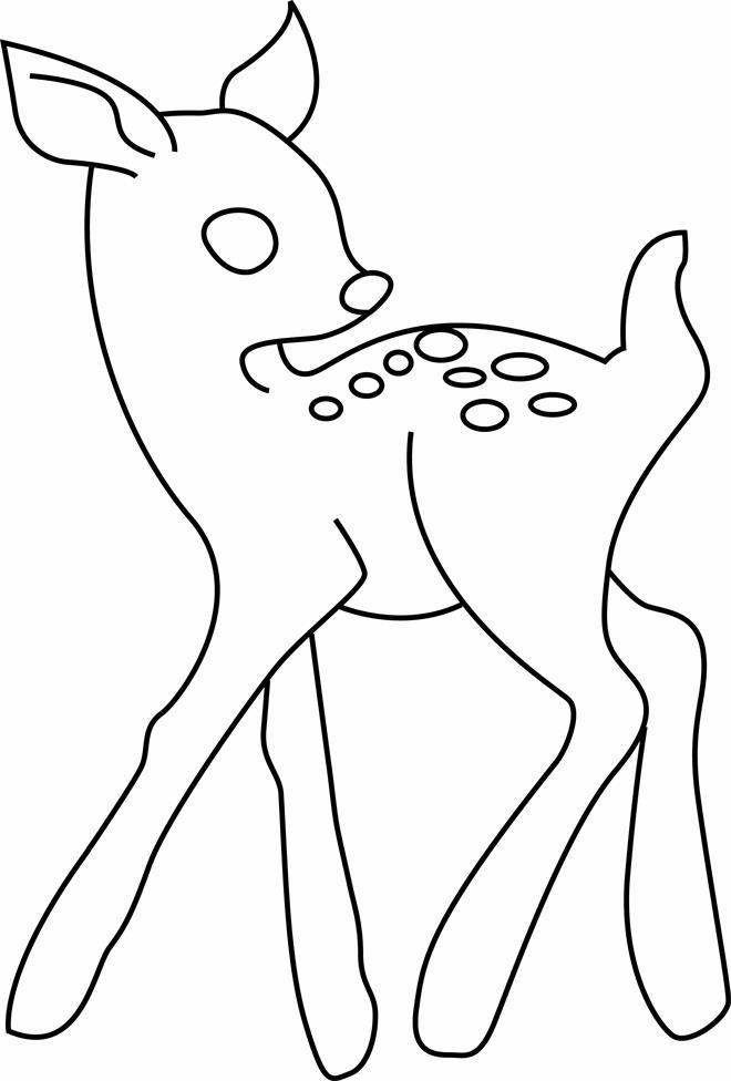 Coloriage d'une biche dans une forêt paisible