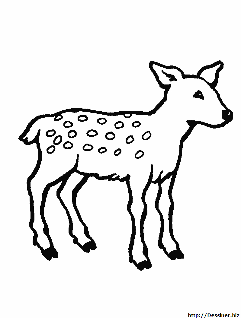 Coloriage d'une biche dans une forêt tranquille
