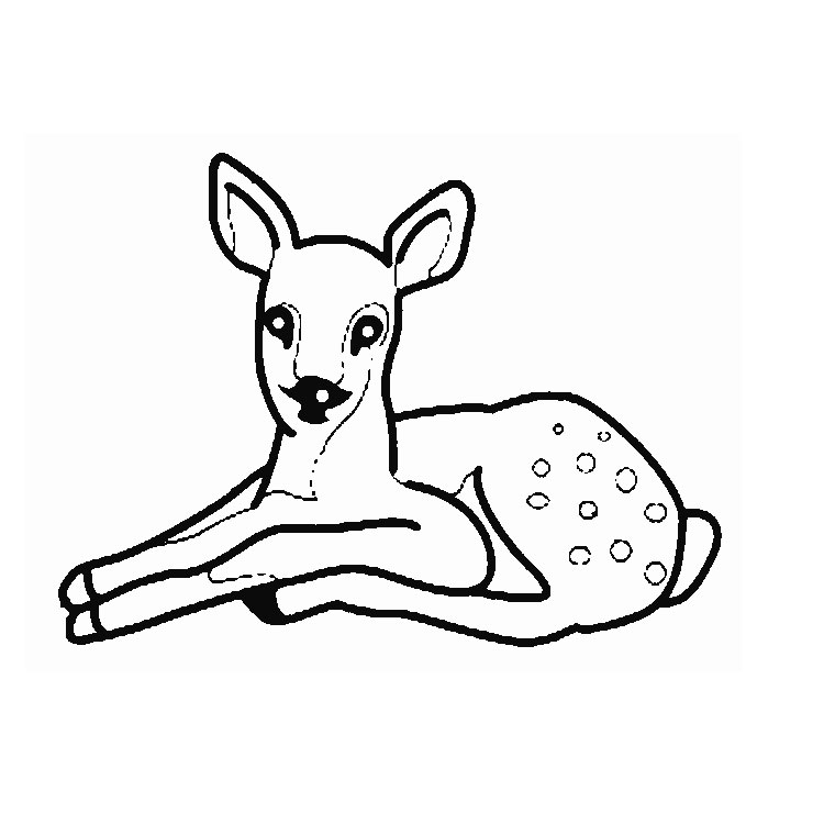 Une biche paisible dans une forêt sereine