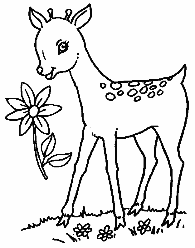 Un joli dessin de biche dans un paysage naturel