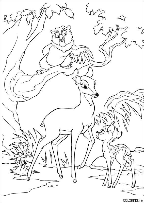 Coloriage d'une biche paisible dans la forêt Coloriage d'une biche paisible dans la forêt