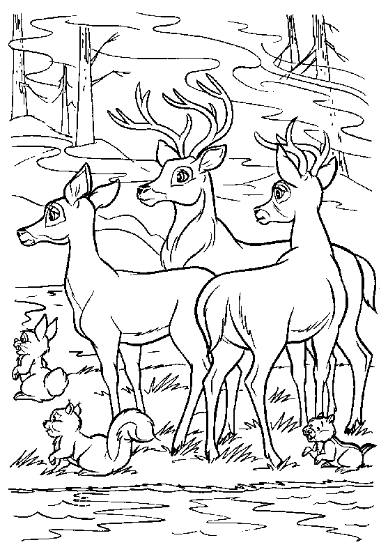 Une biche paisible dans une clairière