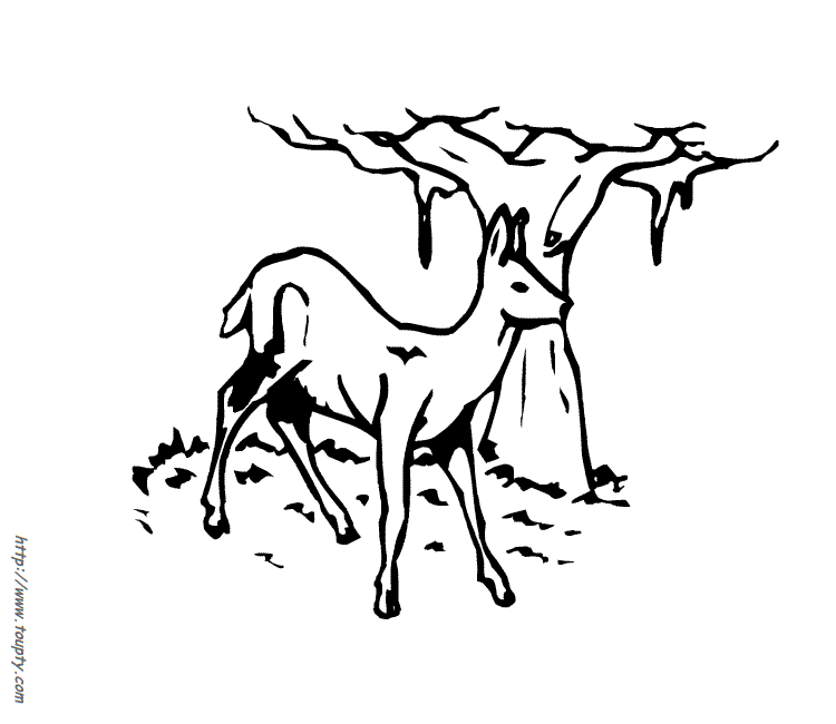 Coloriage Biche #2203 à imprimer Coloriage Biche #2203 à imprimer