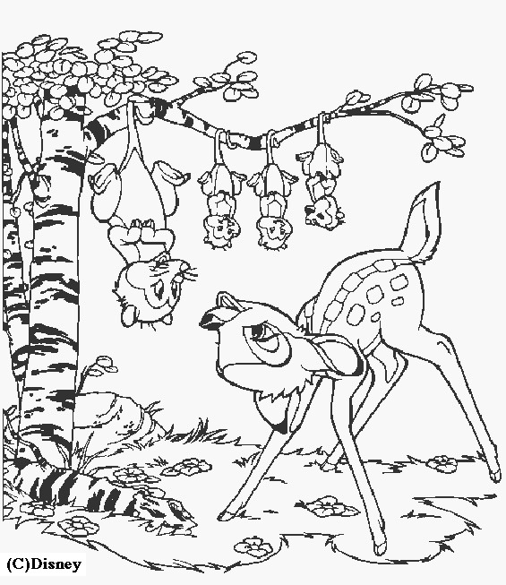 Un coloriage de biche paisible dans la forêt