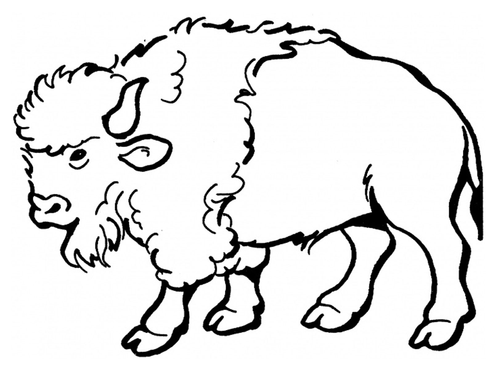 Coloriage d'un bison majestueux dans un paysage naturel