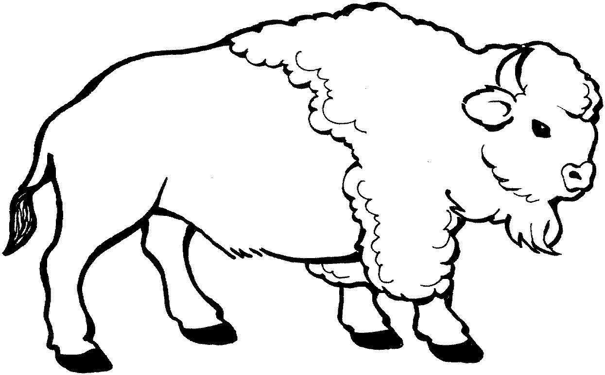 Coloriage Bison #2222 à imprimer Coloriage Bison #2222 à imprimer