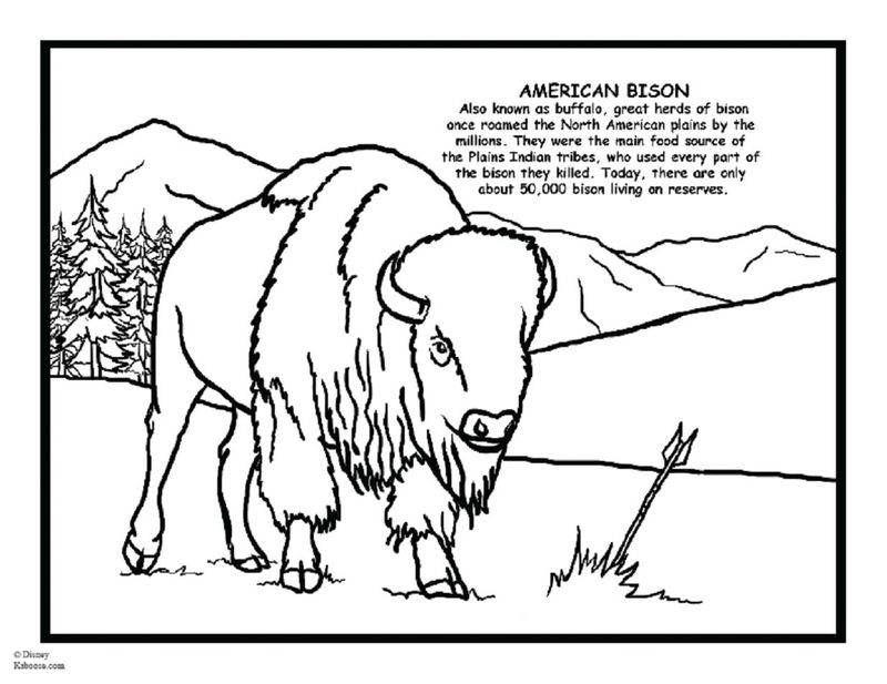 Coloriage d'un bison majestueux dans un paysage naturel