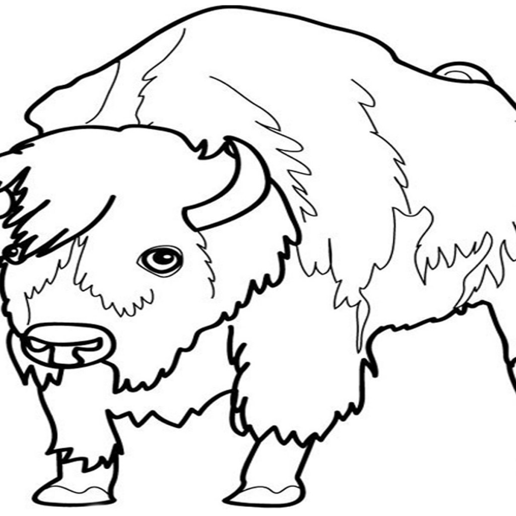 Un bison majestueux dans un paysage naturel