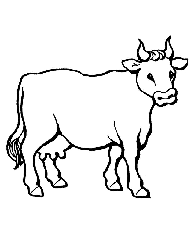 Un boeuf paisible dans un champ verdoyant