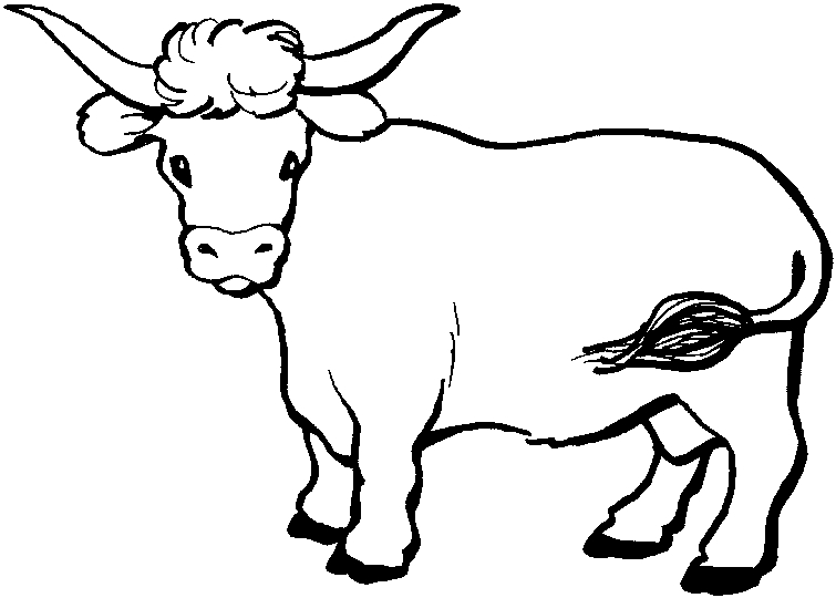 Coloriage de boeuf paisible dans un champ verdoyant